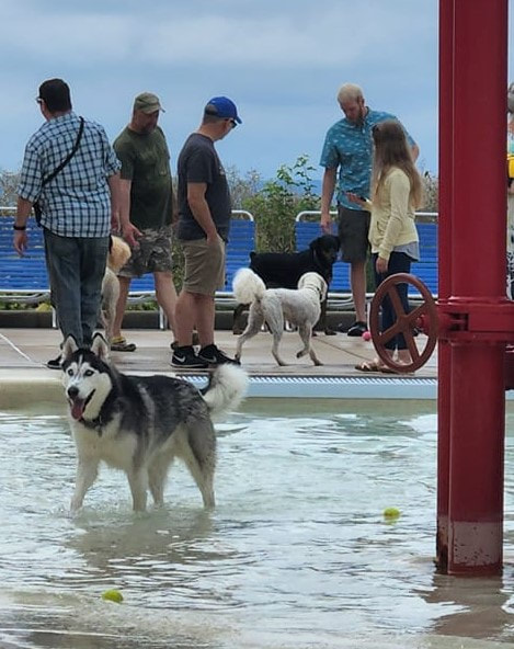 are dogs allowed in neenah parks